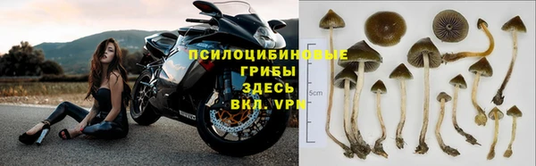 твердый Алзамай