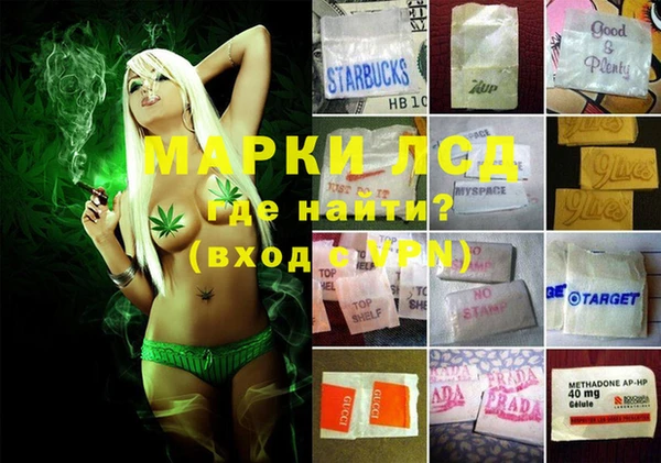 амф Алексин